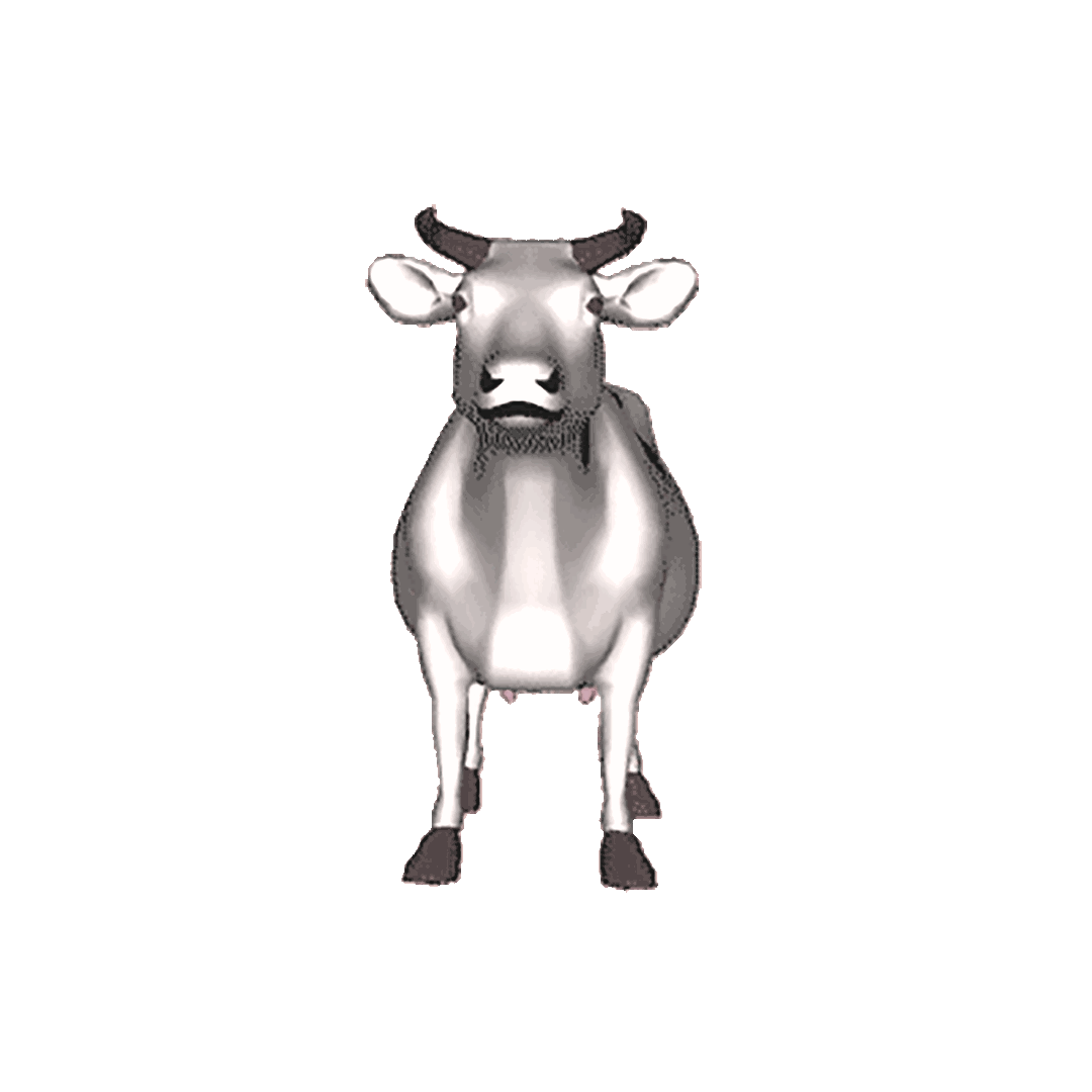 Rotating Cow